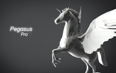 Советник Pegasus Pro 2.1