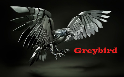 Советник форекс Greybird